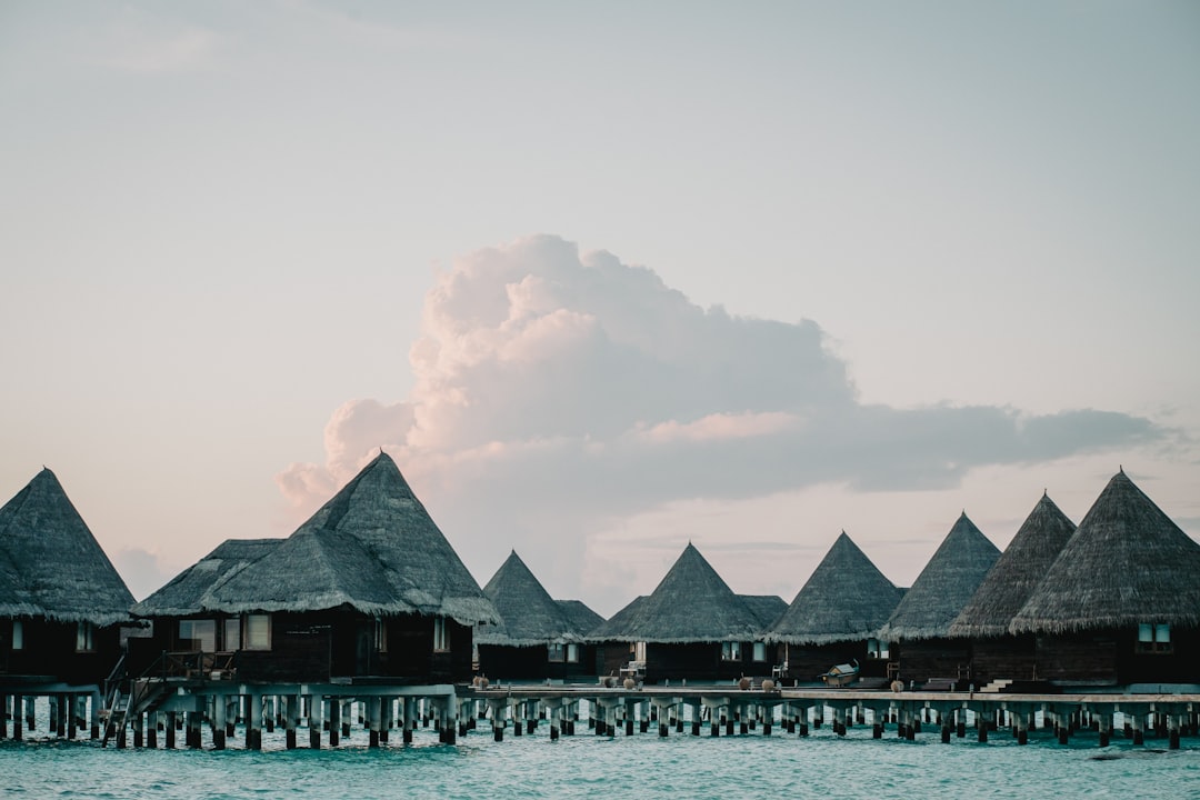 Taste of Paradise: A Culinary Journey Through Maldivian Flavors